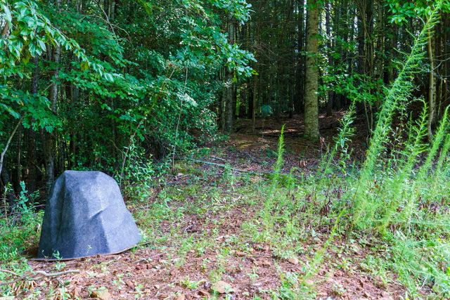 45 Green Cove Road, Brasstown, NC 28902