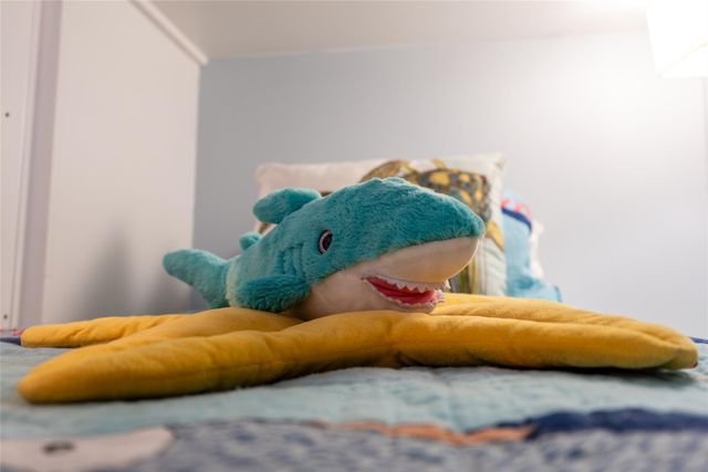 1339 Emerald Drive, Crystal Beach, TX 77650