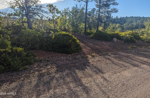 922 OLD SETTLER Trail 390, Show Low, AZ 85901