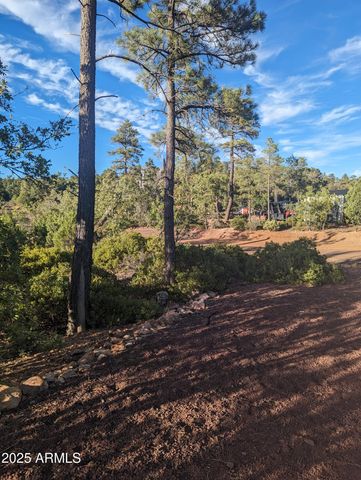 922 OLD SETTLER Trail 390, Show Low, AZ 85901