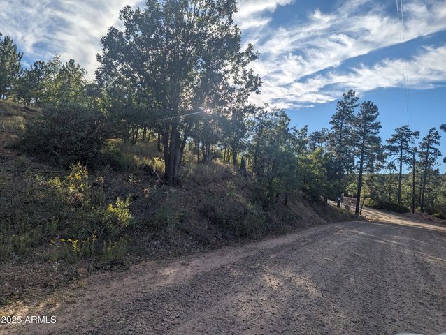 922 OLD SETTLER Trail 390, Show Low, AZ 85901