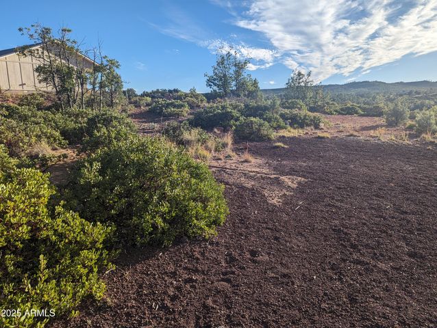 922 OLD SETTLER Trail 390, Show Low, AZ 85901