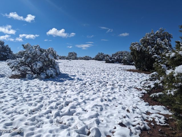 922 OLD SETTLER Trail 390, Show Low, AZ 85901