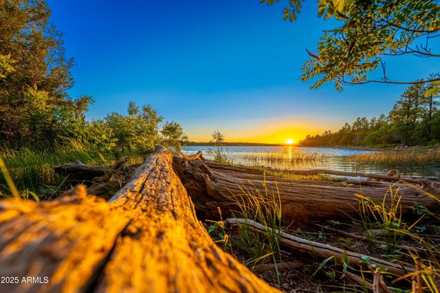 922 OLD SETTLER Trail 390, Show Low, AZ 85901