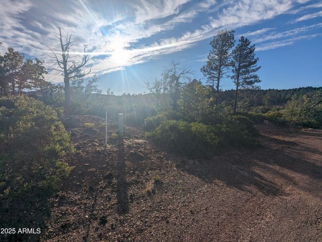 922 OLD SETTLER Trail 390, Show Low, AZ 85901