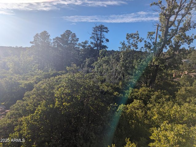 922 OLD SETTLER Trail 390, Show Low, AZ 85901