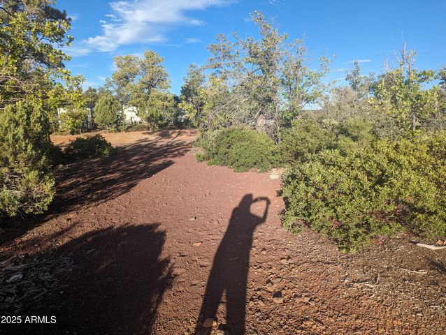 922 OLD SETTLER Trail 390, Show Low, AZ 85901