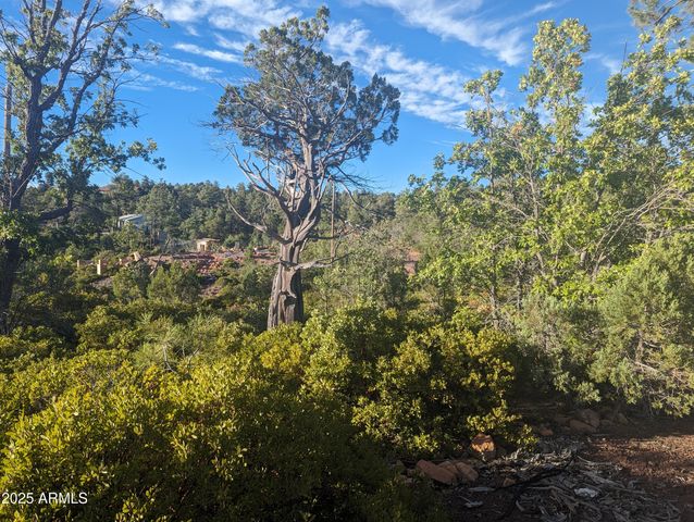 922 OLD SETTLER Trail 390, Show Low, AZ 85901