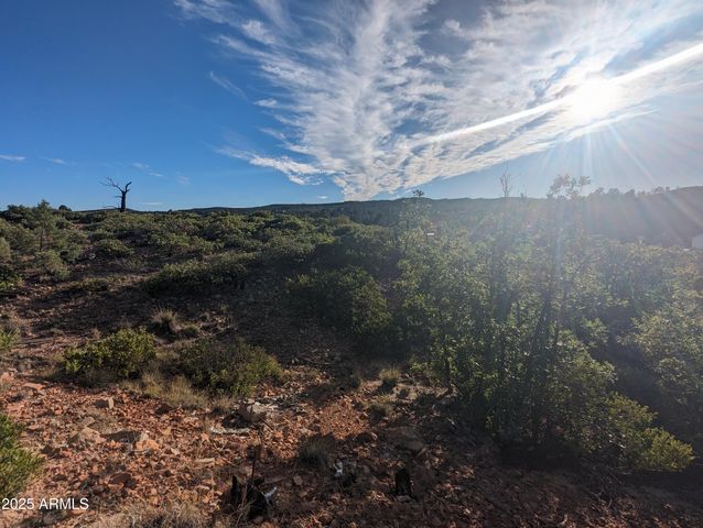 922 OLD SETTLER Trail 390, Show Low, AZ 85901