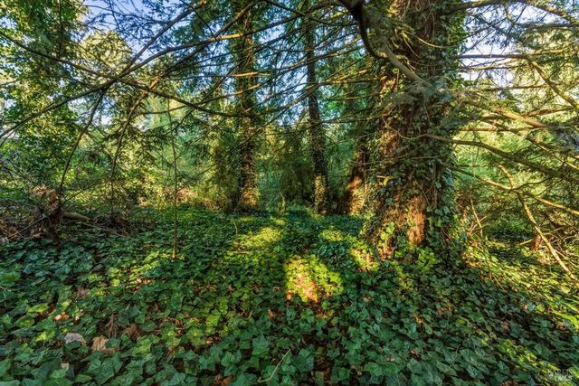 5070 Blank Rd, Sebastopol, CA 95472