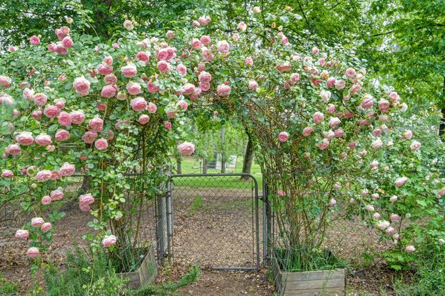 8495 Chili Hill Rd, Newcastle, CA 95658