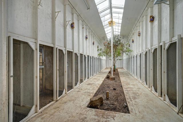 8495 Chili Hill Rd, Newcastle, CA 95658