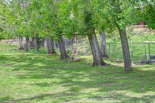 8495 Chili Hill Rd, Newcastle, CA 95658