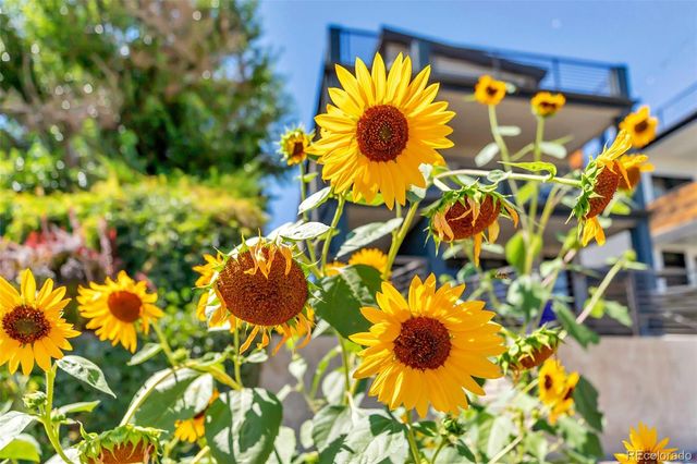 2007 Eliot Street, Denver, CO 80211