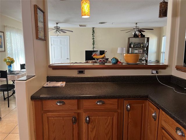 1637 SAN ROY DRIVE, Dunedin, FL 34698