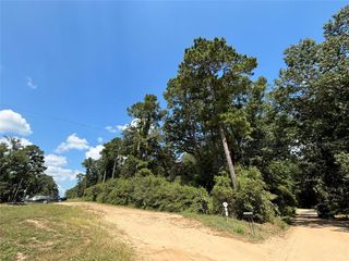 186 Lincoln Drive, Livingston, TX 77351