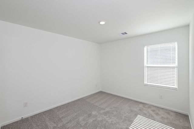 10816 Bird Of Paradise Lane, Houston, TX 77016