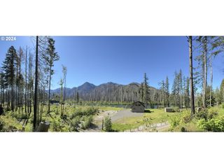 McKenzie Hwy 900, Vida, OR 97488