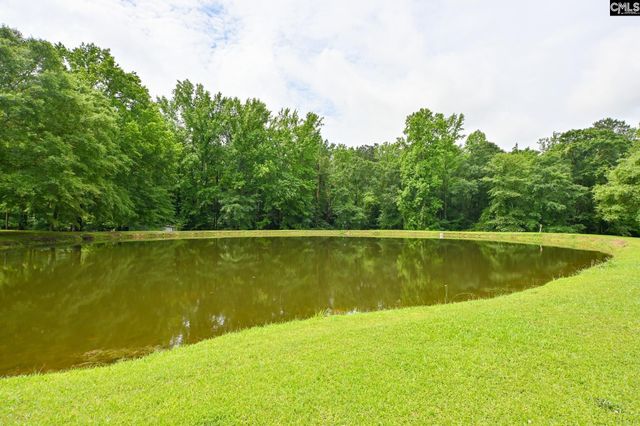 1941 Ray Price Road, Leesville, SC 29070