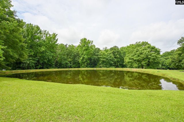 1941 Ray Price Road, Leesville, SC 29070