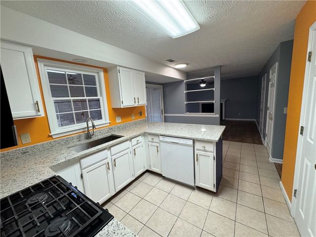 3205 Ivy Station Drive, Duluth, GA 30096