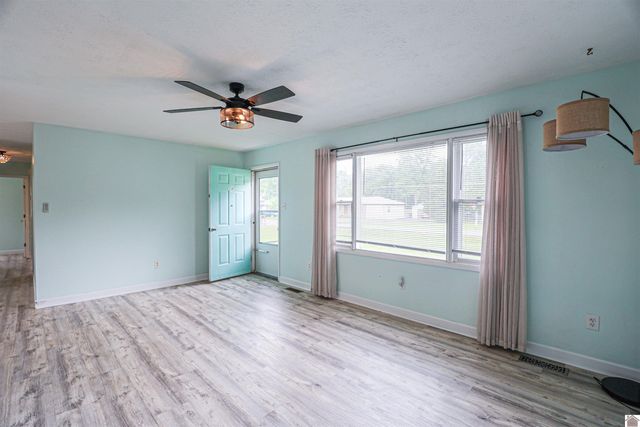 206 Faye Dr, Ledbetter, KY 42058