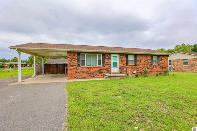 206 Faye Dr, Ledbetter, KY 42058