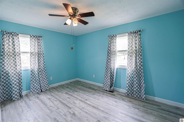 206 Faye Dr, Ledbetter, KY 42058