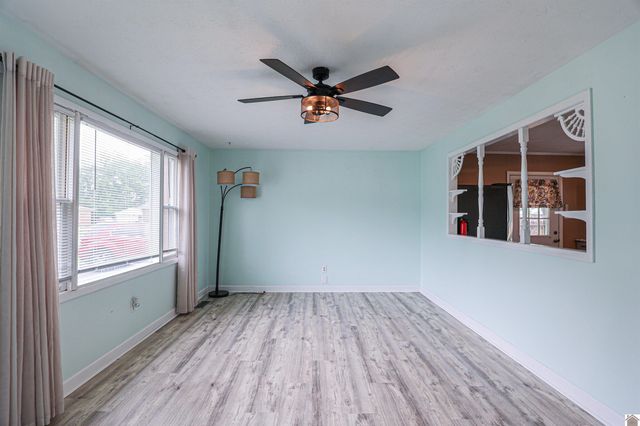 206 Faye Dr, Ledbetter, KY 42058