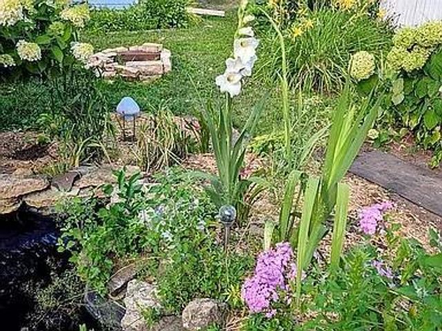 602 S Oak Street, Lake City, MN 55041