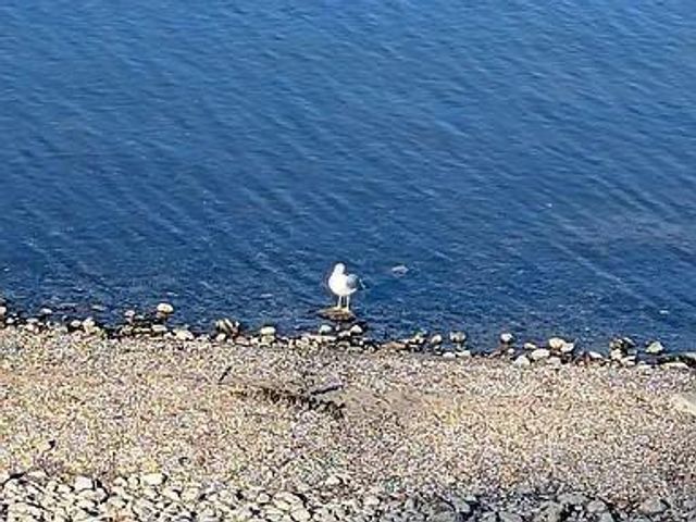 602 S Oak Street, Lake City, MN 55041