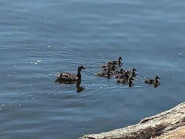 602 S Oak Street, Lake City, MN 55041