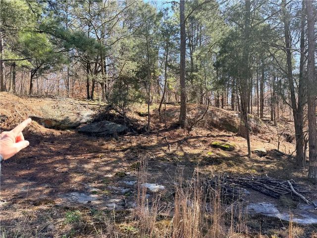 4012 PAULETTE Drive, Monroe, GA 30656