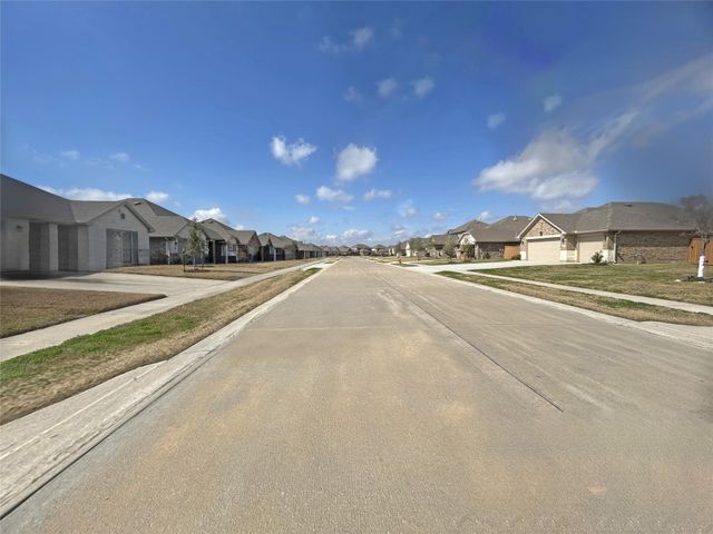 10250 Whitney Reach Drive, Rosharon, TX 77583