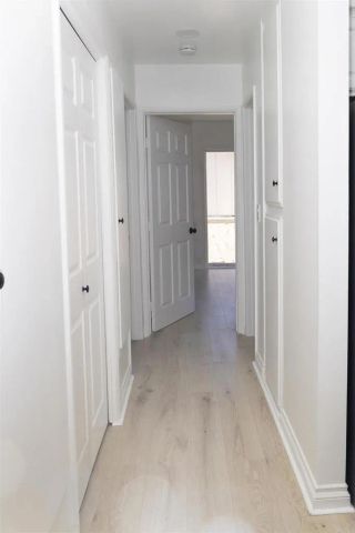 1236 Orkney Lane, Cardiff By The Sea, CA 92007