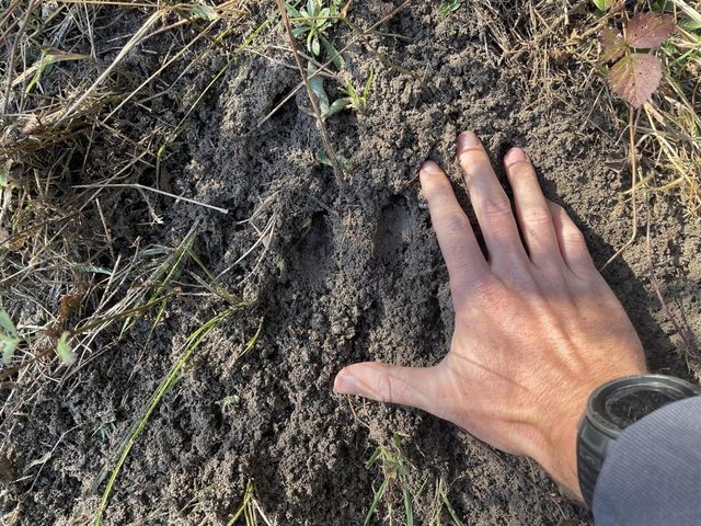 104th Avenue, Grand Junction, MI 49056