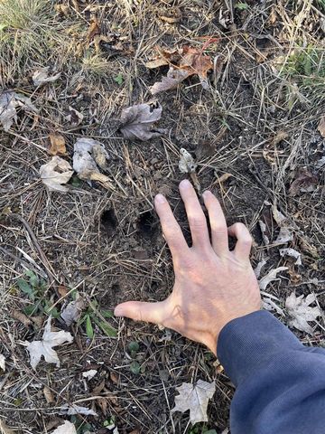 104th Avenue, Grand Junction, MI 49056