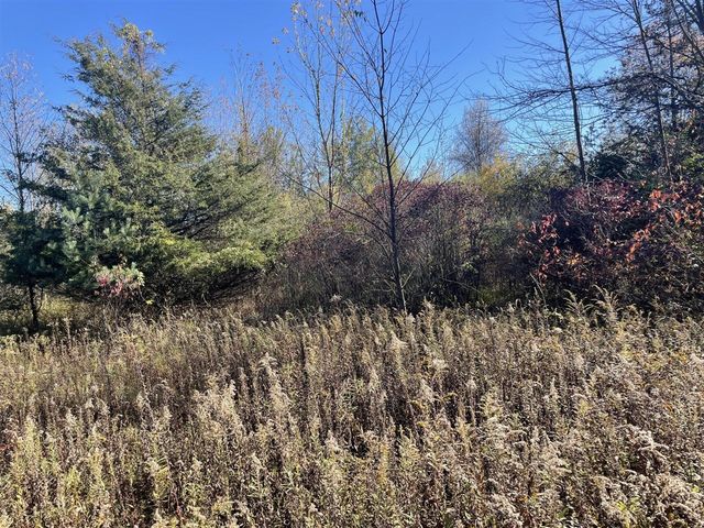 104th Avenue, Grand Junction, MI 49056