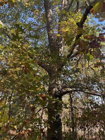 104th Avenue, Grand Junction, MI 49056