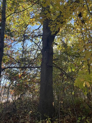 104th Avenue, Grand Junction, MI 49056