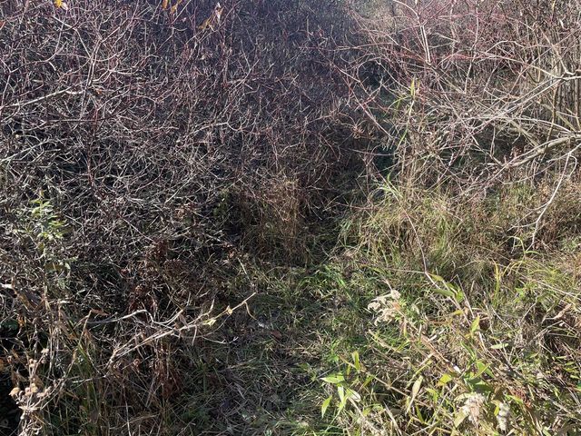 104th Avenue, Grand Junction, MI 49056