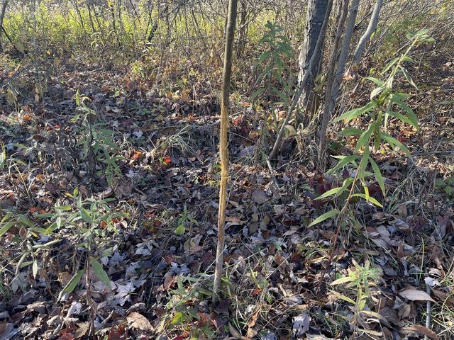 104th Avenue, Grand Junction, MI 49056