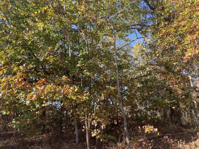 104th Avenue, Grand Junction, MI 49056