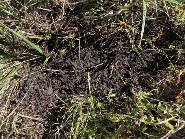 104th Avenue, Grand Junction, MI 49056