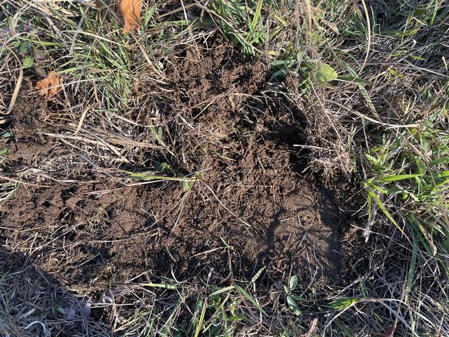 104th Avenue, Grand Junction, MI 49056