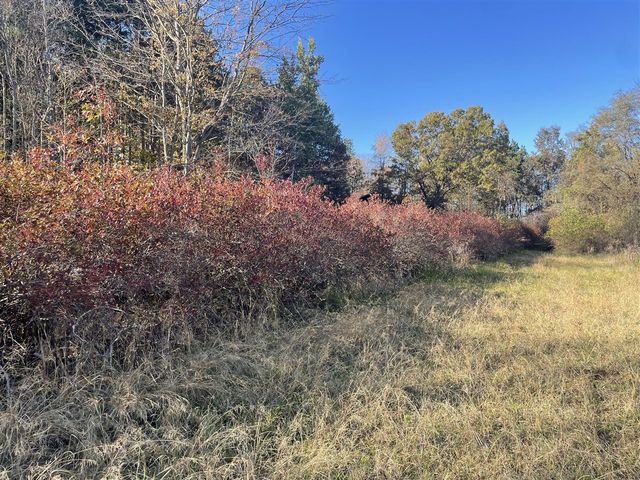 104th Avenue, Grand Junction, MI 49056