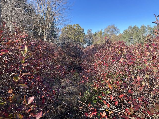 104th Avenue, Grand Junction, MI 49056