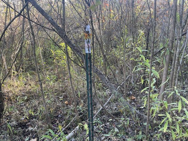 104th Avenue, Grand Junction, MI 49056