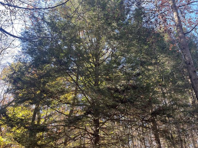 104th Avenue, Grand Junction, MI 49056