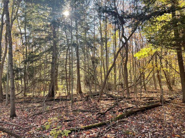 104th Avenue, Grand Junction, MI 49056